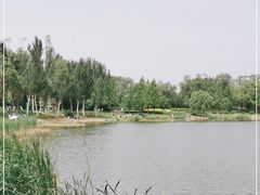 -北坞公园