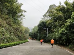 -广州市帽峰山景区
