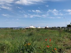-敕勒川草原