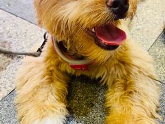 -M Stand(BFC外滩金融中心店)