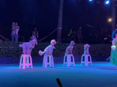 -渔家火锅·海鲜自助餐·演艺(亚龙湾天域酒店)