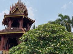 -西双版纳傣族园