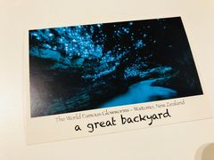 -怀托摩萤火虫洞