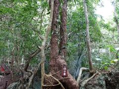 景点-七仙岭温泉国家森林公园