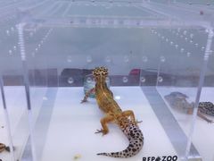 -三旗百汇商品城