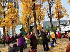 -两江幸福广场