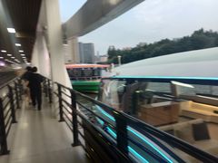 -海河游船-永乐码头(大悲院)