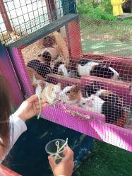 -萌宠亲子动物乐园(槐房万达店)