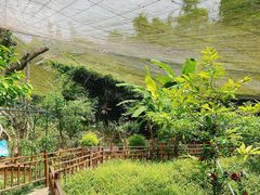 -鼎湖山风景区