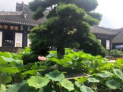 -宝光寺