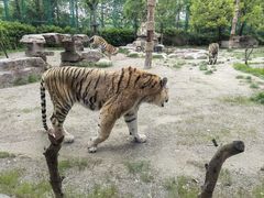 -上海野生动物园