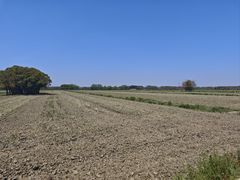 -嘉北郊野公园