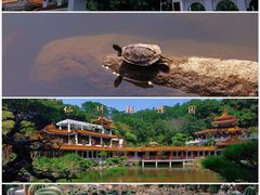 -深圳市中科院仙湖植物园