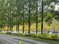 -黄海国家森林公园