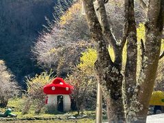 -叠溪松坪沟景区