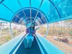 -盈香心动乐园