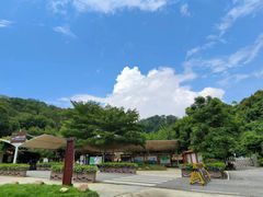 -广州白江湖森林公园