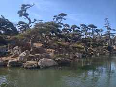 -罗红摄影艺术馆