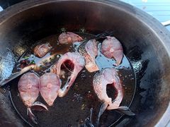 -山城家常菜铁锅炖鱼