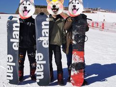 -大同万龙白登山国际滑雪场