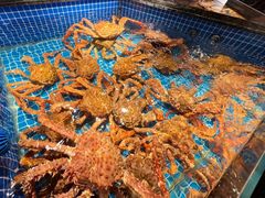 -海月轩海鲜豆捞(紫金塔店)