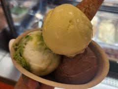 -极拉图·现制冰淇淋(大卫城店)