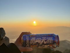 -万达广场(泰安泰山店)