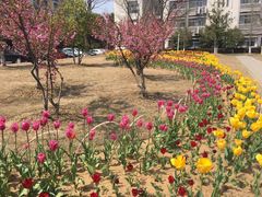 -江南大学(蠡湖校区)