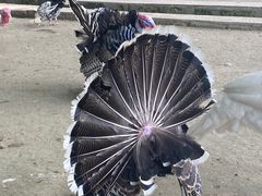 -南京金牛湖风景区