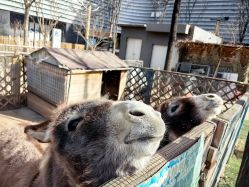 -萌宠亲子动物乐园(槐房万达店)