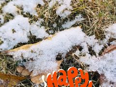 -东吴面馆(中央景城店)