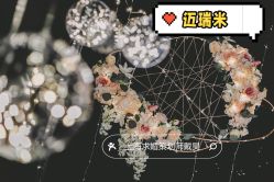 -迈瑞米求婚策划(静安店)