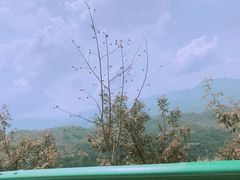 -将军关探险漂流