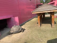 -杭州野生动物世界