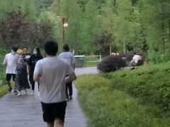 -重庆彩云湖湿地公园