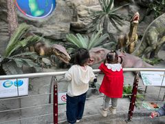 -国家自然博物馆