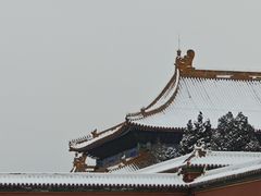 -故宫博物院(故宫)