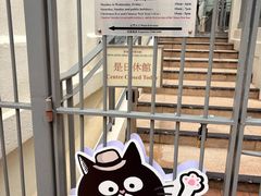 -九龙公园
