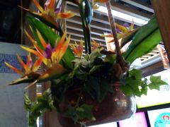 -云海肴云南菜·蒸汽石锅鱼(北京良乡华冠店)