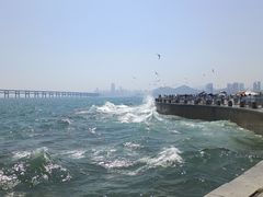-星海广场