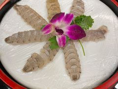 -草鱼先生潮州鱼生·虾生(新厦花园店)