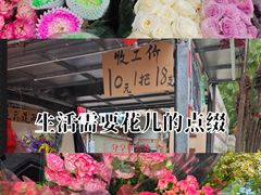 -星海公园(番禺区)