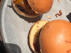 -blue frog蓝蛙(长泰广场店)