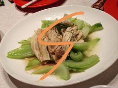 -大鸽饭(动物园店)