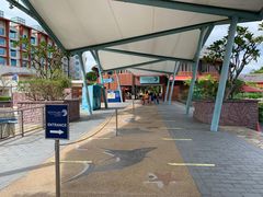 -新加坡水上探险乐园