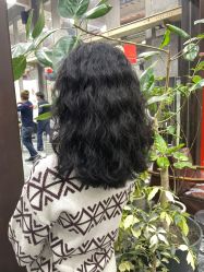 -大象造型