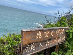 -杨梅坑