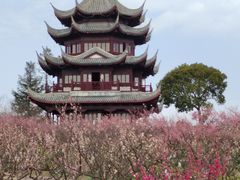 -上海海湾国家森林公园