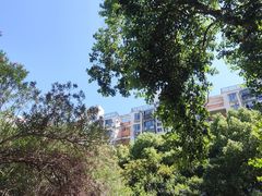 -碧云新天地家园