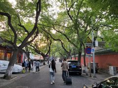 -北京国子监胡同